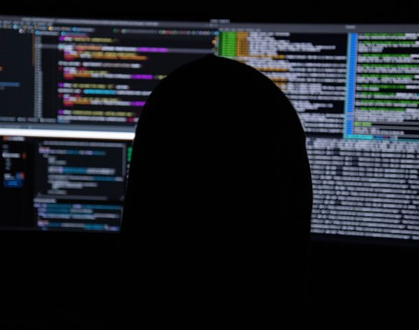 avocat Domaine : informatique / services 